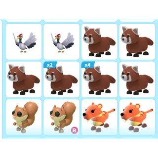 16X ADOPT ME PETS