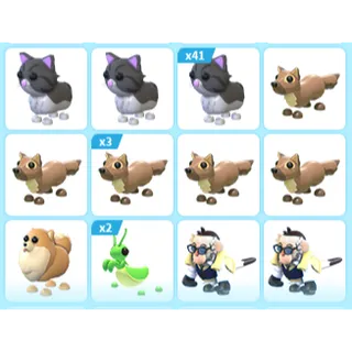 55X ADOPT ME PETS