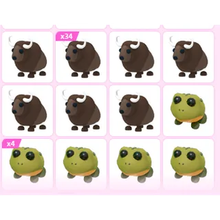 48X ADOPT ME PETS