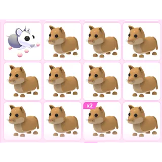 13X ADOPT ME PETS