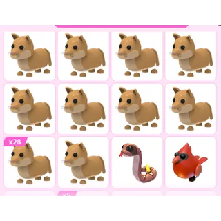 39X ADOPT ME PETS