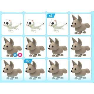 19X ADOPT ME PETS