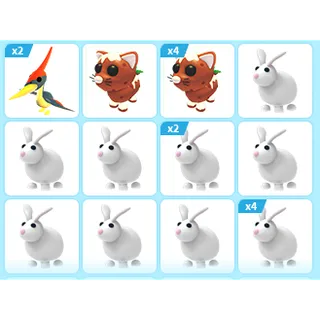 20X ADOPT ME PETS