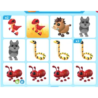 15X ADOPT ME PETS
