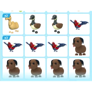 15X ADOPT ME PETS
