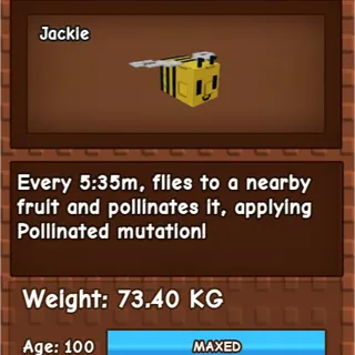honey bee 73kg