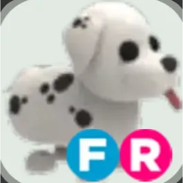 FR Dalmatian / adopt me