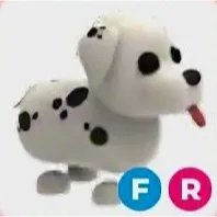 FR Dalmatian / Adopt me