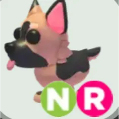 NR German Shepherd