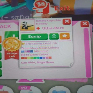 Inmate Capuchin Monkey MR