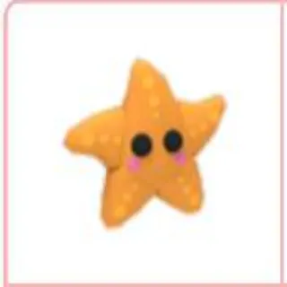 Pet | 4x Starfish