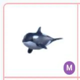 Mega Orca | Pet