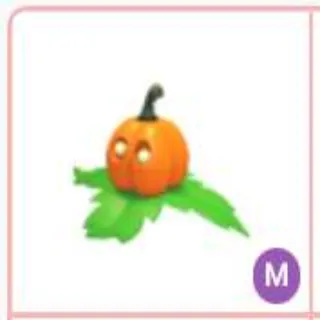 Mega Pumpkin Friend