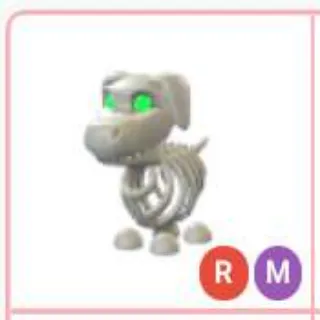 M halloween skeleton dog