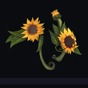 mvsd sunflower set