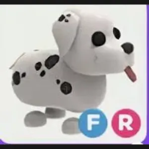 fr Dalmatian