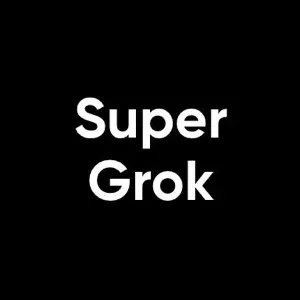 Grok-Digital Subscription-1 Month-Shared account-Super