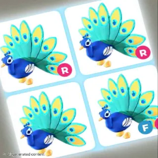 FR PEACOCK X10