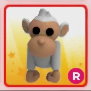Albino MONKEY R