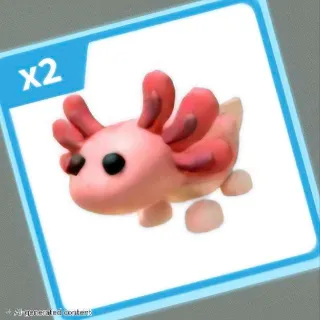 X4 AXOLOTL