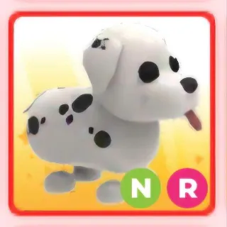 NR DALMATIAN (ADOPT ME)