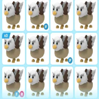 X16 GRIFFIN