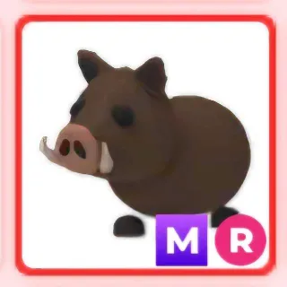 MR WILD BOARD (ADOPT ME)