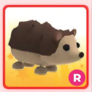 R HEDGEHOG (ADOPT ME)
