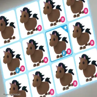 X22 HORSE