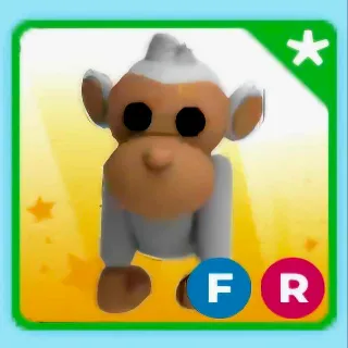 FR ALBINO MONKEY