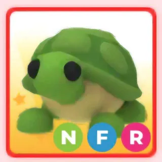 turtle nfr