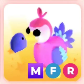 DODO MFR