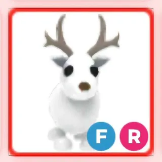 FR ARTIC REINDEER