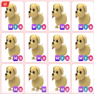 x21 MEGA DOG x9 NEON DOG