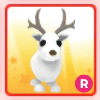 Artic Reindeer R