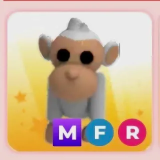 MFR ALBINO MONKEY