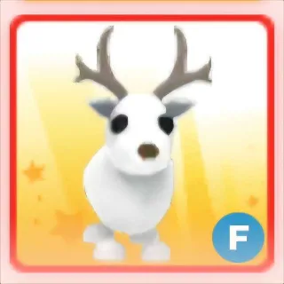 artic reindeer F