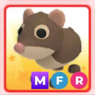 MFR SHREW (ADOPT ME)