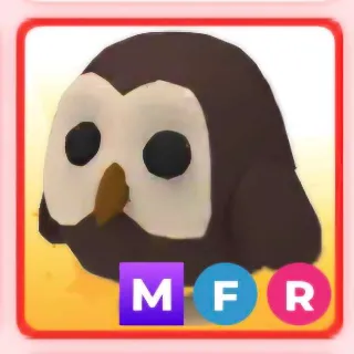 MFR OWL