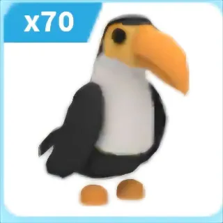 x70 TOUCAN (Adopt Me)