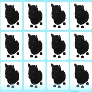 x20 BLACK PANTHER