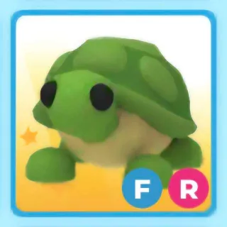 fr turtle