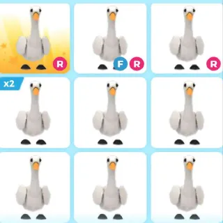 X14 SWAN (Adopt Me)
