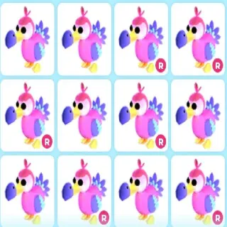 X16 DODO