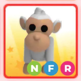 NFR ALBINO MONKEY