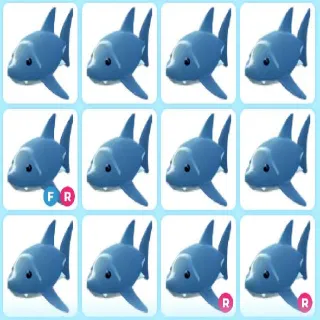 x21 SHARK (Adopt Me)