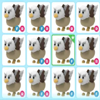 X16 FR GRIFFIN