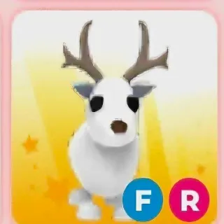 ARTIC REINDEER FR