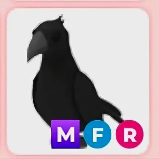 MFR CROW  (ADOPT ME )