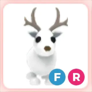 FR ARTIC REINDEER
